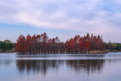 女性自由成熟性别成熟：极速绽放自由之路今日上线，以赛车生涯诠释成长与突破-3