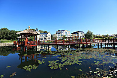 男生困困在女生困困里：当赛车手陷入情感迷宫，速度与心跳如何平衡-3