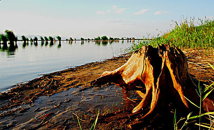 opop黄色软件：极速边缘，非法改装与警方追缉的街头狂飙-2