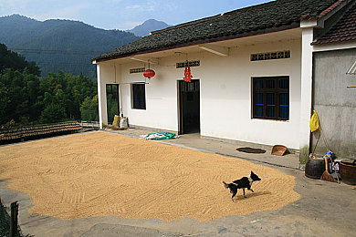 男女生操逼软件：极速狂飙赛道争锋，真实驾驶体验与竞技策略的完美融合-2