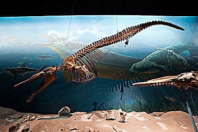 男生女生做爱软件：虚幻5引擎打造，情感驱动赛车，双人协作竞速新游《爱之竞速》正式上线