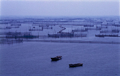 调教性,奴：bdsmchvdio：驾驭钢铁猛兽，在极速赛道中完成精细调校的艺术