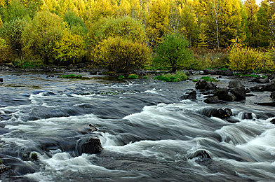 一区：极速边疆，墨西哥赛道上的无声哲学-2