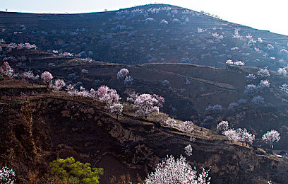 娇妻陪朋友拍婚纱照后续发展：都市情感模拟新作上线，多重抉择编织人际关系迷宫-2