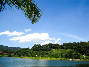 新金银屏5美国版：极速国度，改装传奇，自由驰骋的汽车文化史诗-3