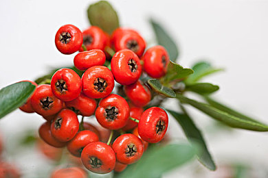 成人国产A片：国产驾驶模拟新作《极速都市：霓虹夜》发售，融合夜间驾驶与都市情感叙事-2