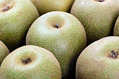 黄网站app软件下载安装免费版2023：极速狂飙2023深度体验，免费街头赛车游戏攻略与评测全解析