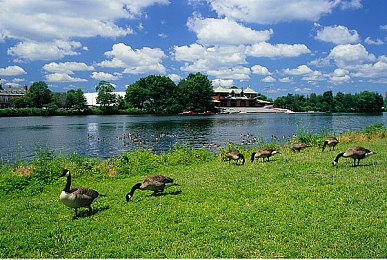 我把英语老师吵了一遍:霓虹语法,极速课堂,叛逆引擎轰鸣知识赛道-3