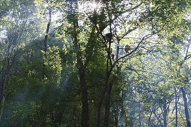 男生和女生一起差差差很痛轮滑鞋：双人竞速新体验，协作失误碰撞反馈引爆赛道激情-2