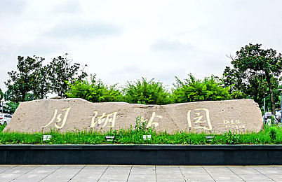 男生操女生app：极速狂飙赛道女神，搭档养成征服都市竞速-4