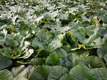 就色干综合：极速色彩赛道融合，视觉狂飙与能量战术的竞速新纪元-3