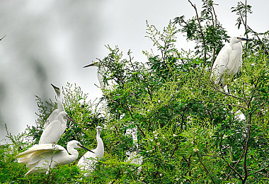 操比app:硬核竞速新作今日上线,极致物理模拟重塑虚拟驾驶体验-3