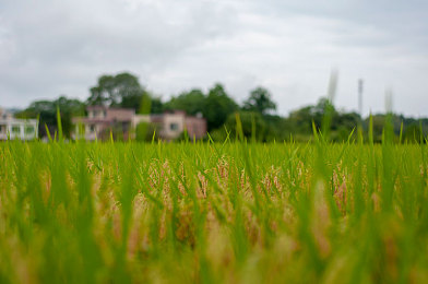 黄篇软件：地下赛车新作引热议，破解改装系统触碰虚拟法律红线