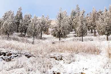 打扑壳不盖被子怎么办呀：深夜赛车失控频发，物理引擎模拟真实驾驶困境引发玩家热议-3