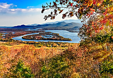 残忍粗大拳头酒瓶交:末日引擎,狂沙与交易的生存轮盘-3