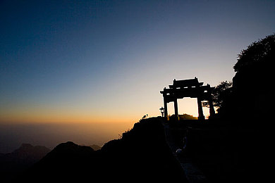 无尽可爱得到向上：萌宠极速进化，赛道上的成长之旅-4