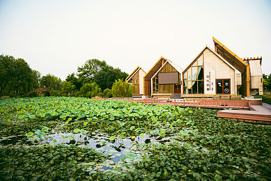 麻豆中文人妻：虚拟人生新篇章，家庭梦想与飞驰之旅