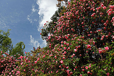 男生和女生在一起xlxxapp：双人竞速新作极速搭档上线，默契配合决胜赛道