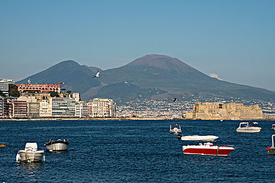 黄瓜应用：翠影疾驰，生态引擎竞速未来-2