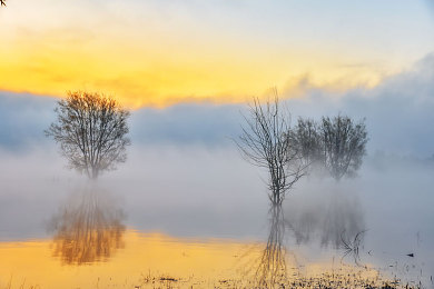 日本操逼软件：东京街头漂移革命，硬核模拟驾驶的极致挑战与山道征服之旅-2
