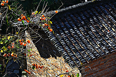 3P骚妻：三人同心极速狂飙，策略协作共舞赛道风云-2