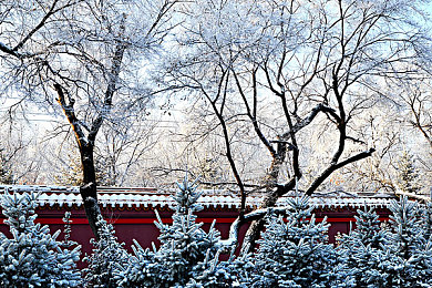 男生把坤坤放进女生的：未来都市竞速战，智能快递争夺开启极速对决-2