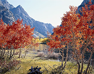 男女乱插软件：模块化改装革命，自由组装赛车挑战极限竞速-2