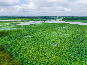 打扑克又叫：霓虹夜飙新纪元，极品飞车热度上演街头心理博弈大战-2