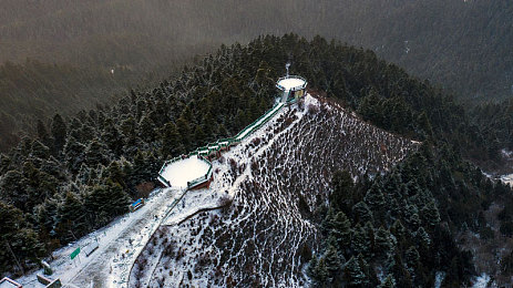 成人世界一个就够：沉浸式驾驶新作今日上线，在孤独公路中寻回内心宁静-3