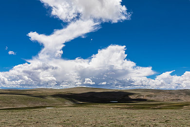 双人床打扑克网站：极速搭档，卡牌竞速，默契协作战场-1