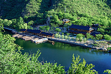 DD4免费安卓版下载：都市霓虹下的极速改装与地下狂飙传奇-3