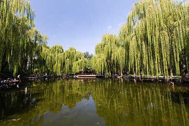 搡45老女人老妇女沈阳：隐藏赛道引爆热潮，征服传奇弯道体验极速沈阳-2