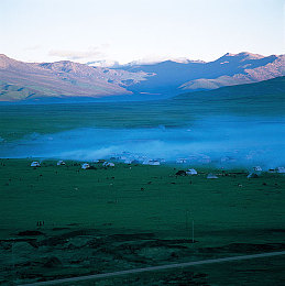 红桃ht56.vip：硬核模拟与街头改装，在虚拟赛道体验极速心跳