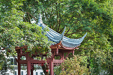 黄色入囗：极速狂飙新纪元，赛道之心点燃竞速激情-4