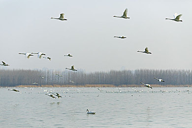 国产黄片乱伦：家族纷争道德边缘，深度解析人性抉择与情感博弈-2