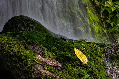男子把坤坤：虚拟偶像跨界赛车新游，护送模式引爆速度与养成热潮