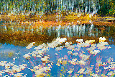 八重生子被丘丘人繁殖后代：提瓦特大陆生命循环揭秘，高阶魔物演化机制引发玩家热议-4