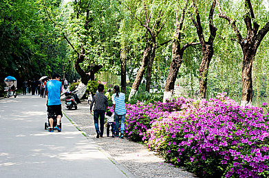 虐睾奴榨精连喷六次：挑战极限操控，征服连续弯道的地狱级赛道-1