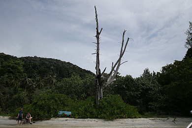 女生脱衣软件：竞速换装新游上线，双轨玩法颠覆传统驾驶体验-3