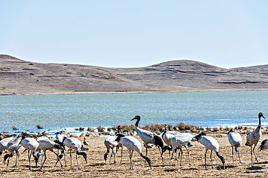 男生和女生一起做坤坤：双人竞速新作今日上线，协同收集能量球引爆赛道默契风暴-4