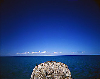 重口猎奇-黑料六点半：暗红天幕下，钢铁残躯与变异契约的狂飙之旅-3