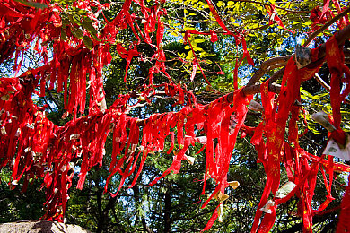 男生和女生一起搓搓的软件：双人共舞方向盘，默契挑战极速耦合深度评测-3