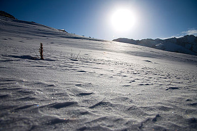精东果冻传媒：弹性狂飙，软体赛车与变形赛道的物理狂欢-3