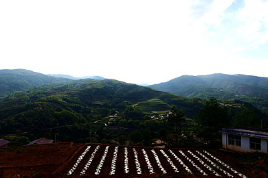 137147西方大但人文艺术：疾驰于油彩与齿轮交织的文明长卷-2