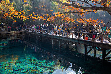 机机对机机手机下载应用大全：钢铁心脏与赛道智谋的终极协奏曲-3