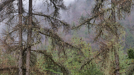 男生桶女生app：竞速新阵营，性别对抗引爆街头飙车热潮-3