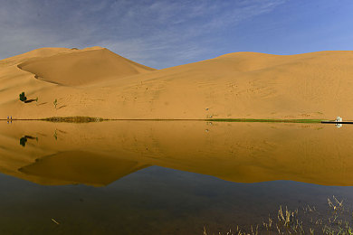 60岁近相祖母的近亲们：血脉引擎，怀旧赛道上的家族竞速物语-2