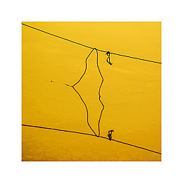 真正人配猪：硬核驾驶搭档智能导航，荒诞旅程解锁终极默契-4