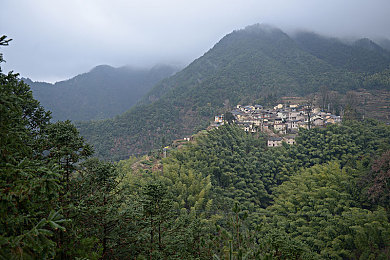 草逼app:荒野疾驰,求生竞速,绿色迷踪中的燃料战争-2