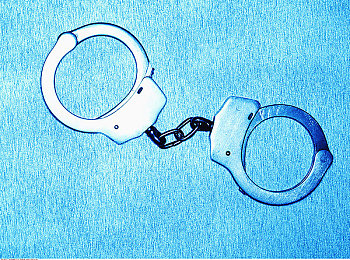 拔萝卜不盖子:田园赛道上的精准抓取竞速之旅-2